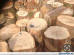 Houtblokken doorsnijden, Tuin en Terras, Brandhout, Ophalen of Verzenden, Beukenhout