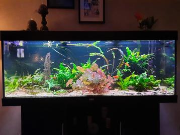 aquarium juwel rio 450 beschikbaar voor biedingen