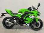 Kawasaki NINJA 650 KRT 35KW (bj 2025), Motoren, Motoren | Kawasaki, 648 cc, Bedrijf, Overig, 12 t/m 35 kW
