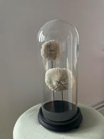 Grand dôme avec corail, Enlèvement, Utilisé