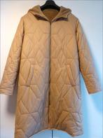 Nieuwe Dames Winterjas (Koopje !), Kleding | Dames, Maat 38/40 (M), Beige, Nieuw, Ophalen of Verzenden
