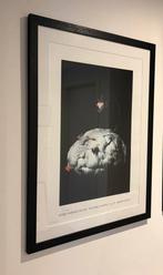 Genummerde en gesigneerde offset Koen Vanmechelen, Ophalen of Verzenden