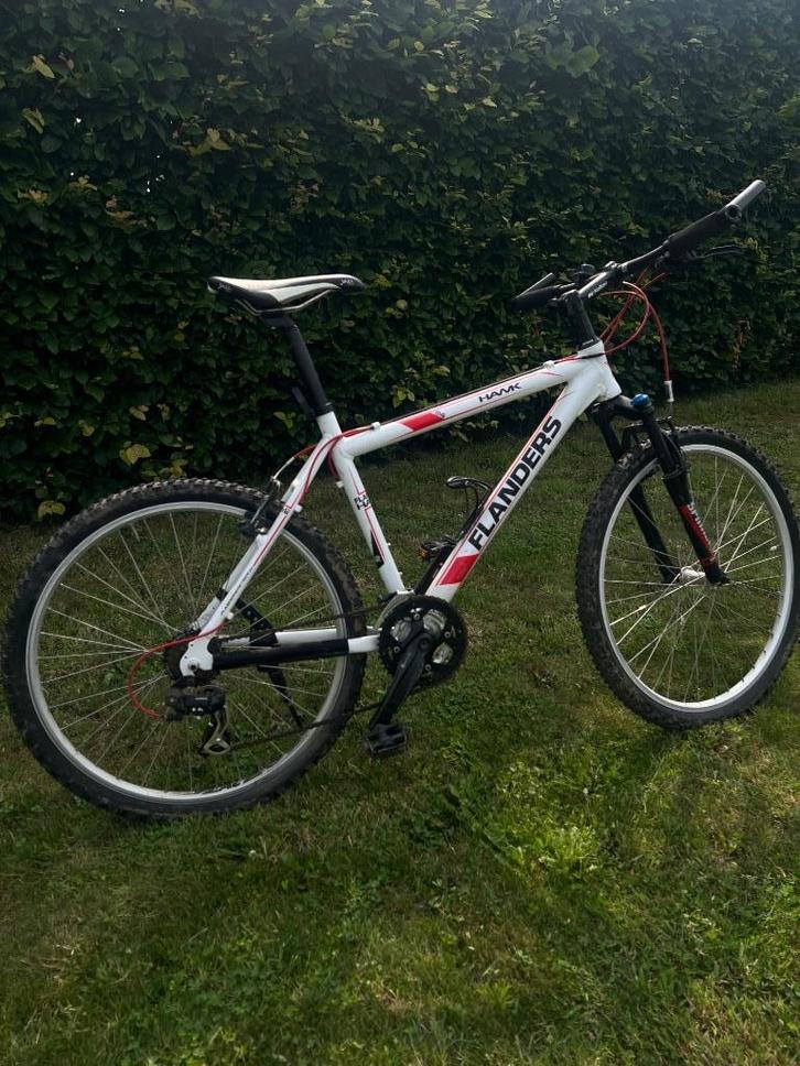 Mountainbike, Fietsen en Brommers, Fietsen | Mountainbikes en ATB, Gebruikt, Heren, Overige merken, Ophalen