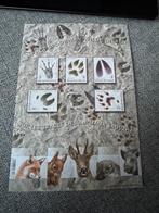 In het spoor van wilde dieren 2018, Ophalen of Verzenden