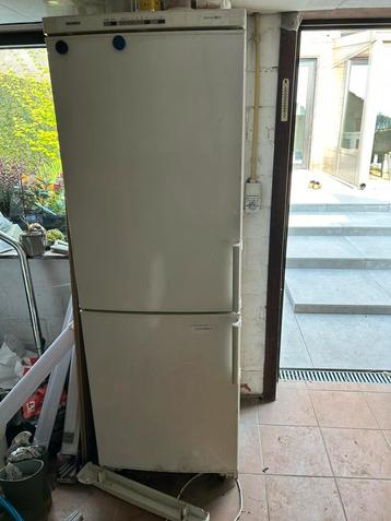 Diepries frigo beschikbaar voor biedingen