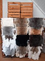 Peaux d'animaux naturelles, Enlèvement ou Envoi, Neuf, Crème