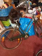 velo adulte vintage, Vélos & Vélomoteurs