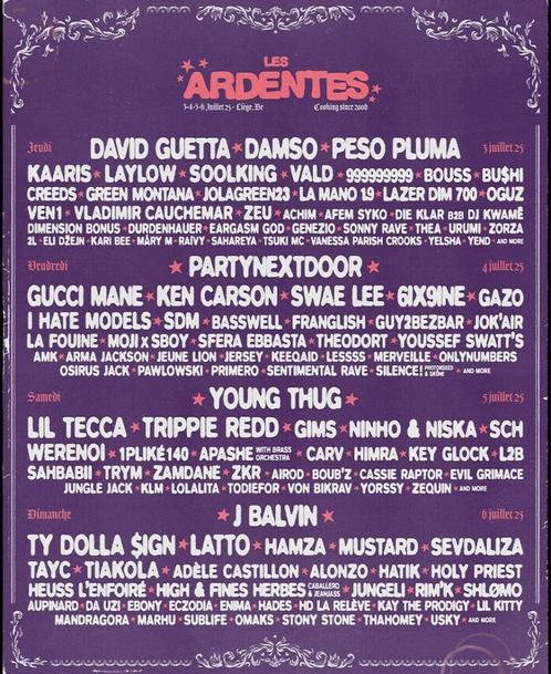 Les Ardentes: 2 passen voor 4 dagen + camping te koop, Tickets en Kaartjes, Evenementen en Festivals, Twee personen, Meerdaags