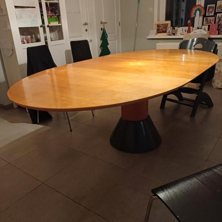 Eettafel, Huis en Inrichting, Tafels | Eettafels, Gebruikt, 100 tot 150 cm, 200 cm of meer, Vijf personen of meer, Ovaal, Overige materialen