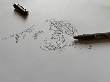 Originele pentekening A4 formaat beschikbaar voor biedingen