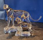 Jachtluipaard Mehira en Jabari, Ophalen, Zo goed als nieuw