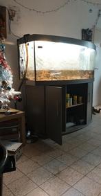 Aquarium 150x60x60, Animaux & Accessoires, Poissons | Aquariums & Accessoires, Enlèvement, Comme neuf, Aquarium vide