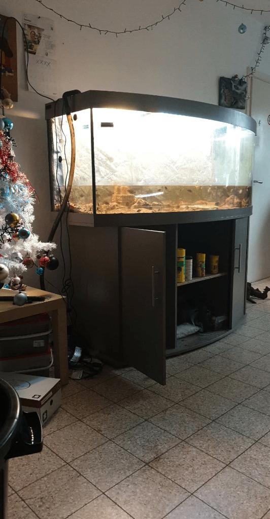 Aquarium 150x60x60, Animaux & Accessoires, Poissons | Aquariums & Accessoires, Comme neuf, Aquarium vide, Enlèvement