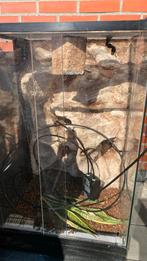 Terrarium, Ophalen of Verzenden