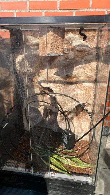 Terrarium beschikbaar voor biedingen