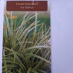 GRATIS BODEMBEDEKKER MIDDELKERKE, Tuin en Terras, Ophalen