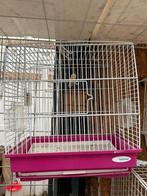 Vogelkooi, Dieren en Toebehoren, Vogels | Hokken en Kooien, Ophalen, Zo goed als nieuw, Vogelkooi