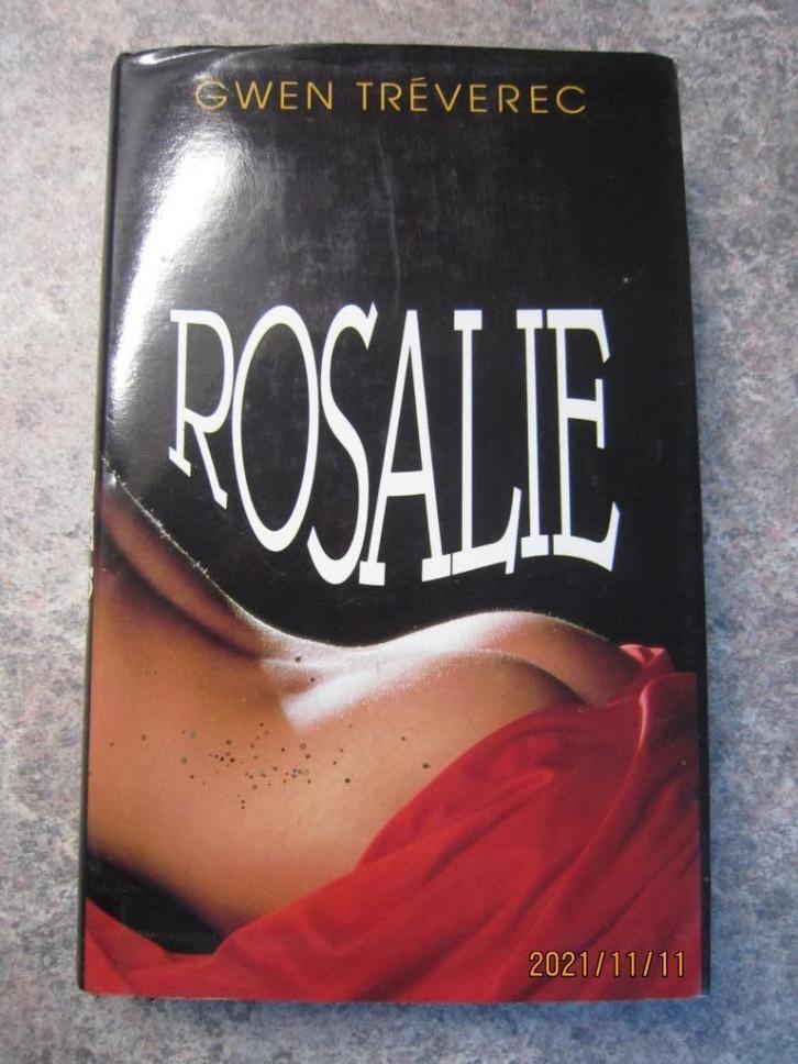 Boek „Rosalie” van Gwen Tréverec, Boeken, Romans, Gelezen, Verzenden