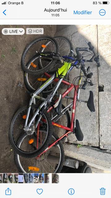 Lot de vélos 30 euros beschikbaar voor biedingen