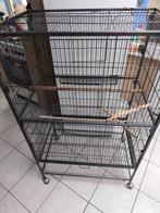 Cage perroquet, Dieren en Toebehoren, Ophalen of Verzenden, Zo goed als nieuw, Metaal, Vogelkooi