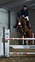 Wedstrijd ruiter aangeboden, Dieren en Toebehoren, Paarden