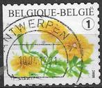 Belgie 2008 - Yvert 3767 /OBP 3785 - Afrikaantje (ST), Timbres & Monnaies, Timbres | Europe | Belgique, Affranchi, Envoi, Oblitéré