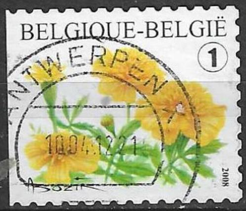 Belgie 2008 - Yvert 3767 /OBP 3785 - Afrikaantje (ST), Timbres & Monnaies, Timbres | Europe | Belgique, Affranchi, Envoi