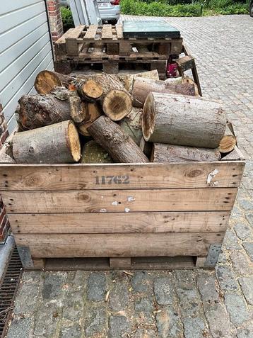 Brandhout, Tuin en Terras, Brandhout, Minder dan 3 m³, Ophalen of Verzenden, Beukenhout, Blokken
