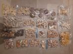 PRACHTIGE verzameling schelpen, zeesterren en zee egels, Verzamelen, Schelp(en), Ophalen