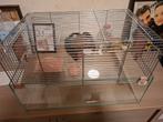 Kooitje, Dieren en Toebehoren, Ophalen of Verzenden, Zo goed als nieuw, Hamster