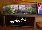 2m aquarium met alles toebehoren spullen + inhoud, Dieren en Toebehoren, Ophalen, Zo goed als nieuw, Verlichting