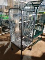 Grandes Perruches | Cages pour perroquets | Beaucoup de choi, Animaux & Accessoires, Oiseaux | Cages & Volières, Enlèvement ou Envoi