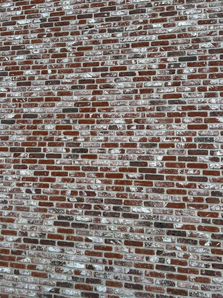 Oud Kwaeremont - Van de Moortel, Bricolage & Construction, Briques, Neuf, Enlèvement