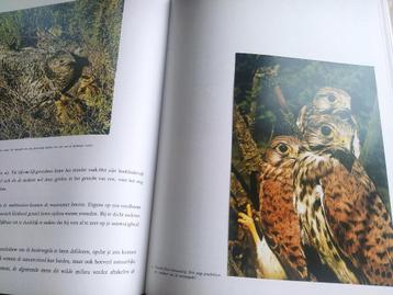 boek: natuur- en vogelreservaten Venen+De Kempen beschikbaar voor biedingen