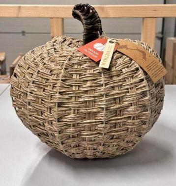 Boerderij Halloween Herfst Wilg Pompoen Binnen Buiten 35cm beschikbaar voor biedingen