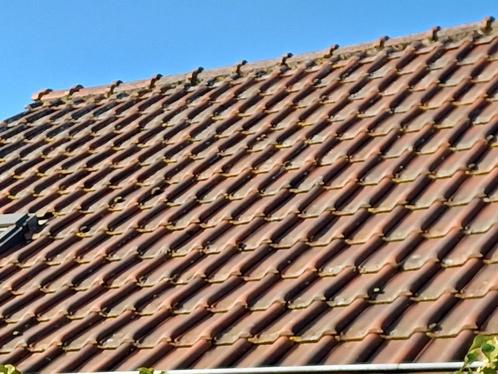 Dakpannen te koop, Doe-het-zelf en Bouw, Dakpannen en Dakbedekking, Gebruikt, Dakpannen, Steen of Klei, Rood, 15 m² of meer, Ophalen