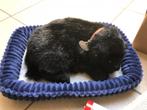 Speelgoedknuffel perfect petzz, Ophalen, Zo goed als nieuw