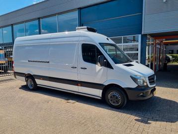 Mercedes-Benz Sprinter 513 CDI/ Kuhlwagen/ MAXI/ Carrier/ E6 beschikbaar voor biedingen
