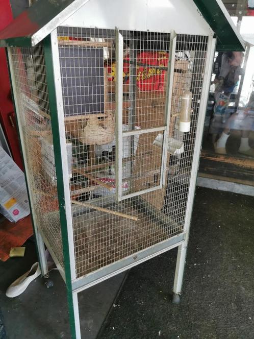 Voliere te koop, Dieren en Toebehoren, Vogels | Hokken en Kooien, Zo goed als nieuw, Ophalen