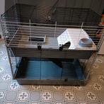 Cavia/ konijnen kooi, Ophalen, Gebruikt, Kooi, Konijn