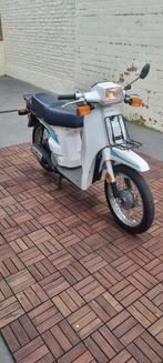 Honda scoopy, 50 cm³