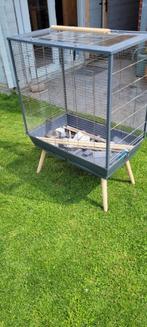 Grote kooi, Dieren en Toebehoren, Vogels | Parkieten en Papegaaien