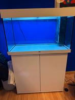Juwel aquarium 120 liter met kast en accessoires, Dieren en Toebehoren, Vissen | Aquaria en Toebehoren, Ophalen, Gebruikt, Leeg aquarium