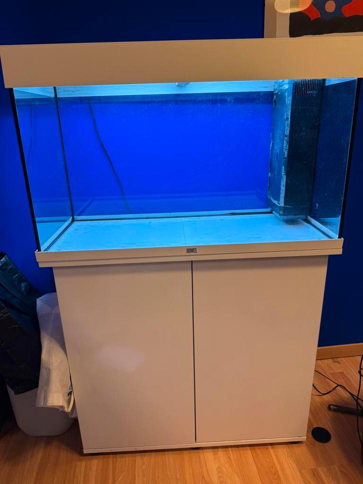Aquarium juwel 120 litre avec meuble et accessoires, Animaux & Accessoires, Poissons | Aquariums & Accessoires, Utilisé, Aquarium vide