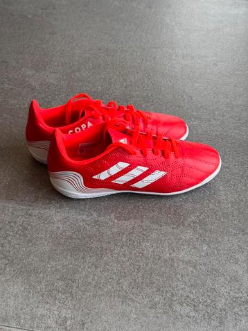 Basket futsal/mini foot Adidas taille 35 beschikbaar voor biedingen