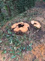 Wortelfrezen stronkenfrezen bomen, Tuin en Terras, Ophalen of Verzenden