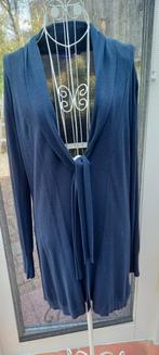 Prachtige lange vest .maat xl, Vêtements | Femmes, Grandes tailles, Enlèvement ou Envoi, Comme neuf