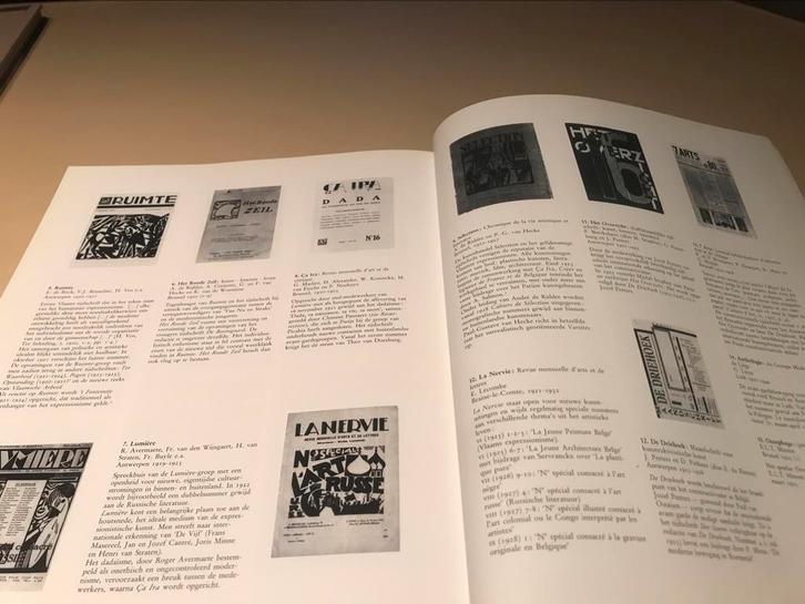 Het Vlaamse Expressionisme 400pag Brusselmans Permeke, Boeken, Kunst en Cultuur | Beeldend, Zo goed als nieuw, Schilder- en Tekenkunst