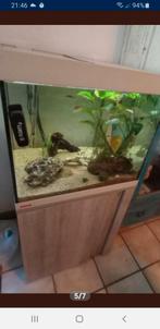 Aquarium eheim complet avec meuble d'origine, Animaux & Accessoires, Enlèvement ou Envoi, Comme neuf