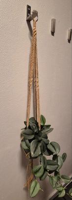 jutte hanger voor planten 2x, Ophalen